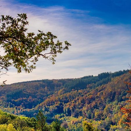 Le Chalet Vresse-sur-Semois Dış mekan fotoğraf