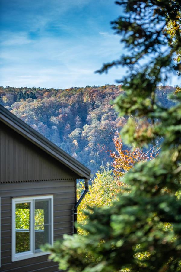 Le Chalet Vresse-sur-Semois Dış mekan fotoğraf