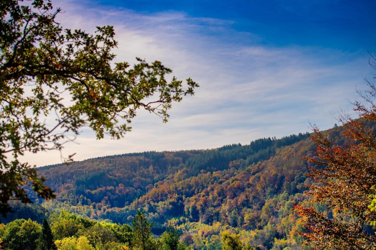 Le Chalet Vresse-sur-Semois Dış mekan fotoğraf